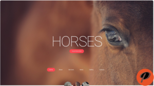 Horses Horse Responsive Creative HTML Website Template 1