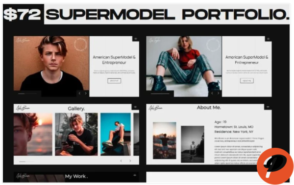 Model Portfolio Multipurpose HTML By WINK Website Template 1