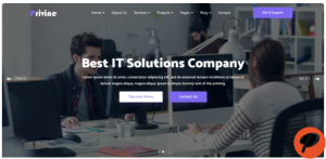 Privine IT Solutions Business Services Website Template