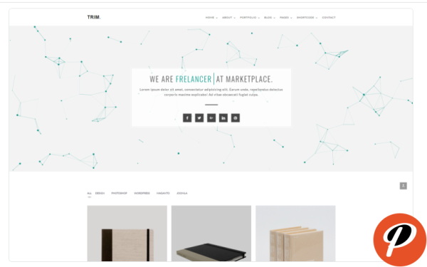 Trim Minimal Portfolio Website Template