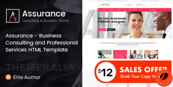 Assurance Business Consulting Services HTML Template