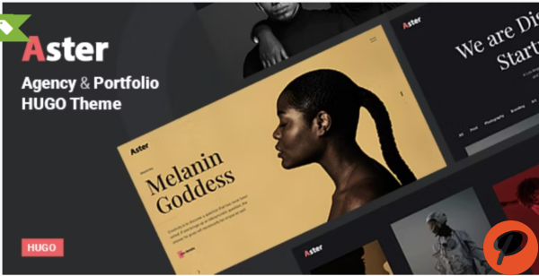 Aster Creative Portfolio Agency Hugo Theme