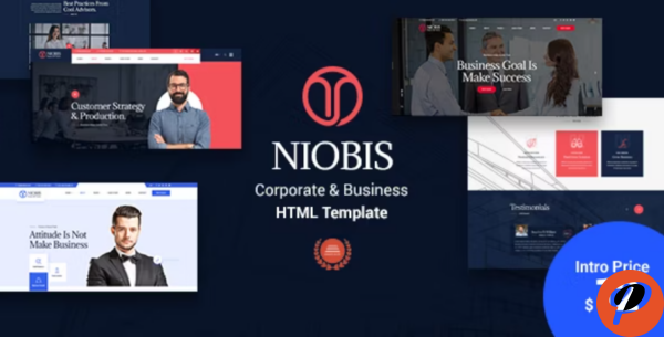 NioBis Corporate Consulting Template