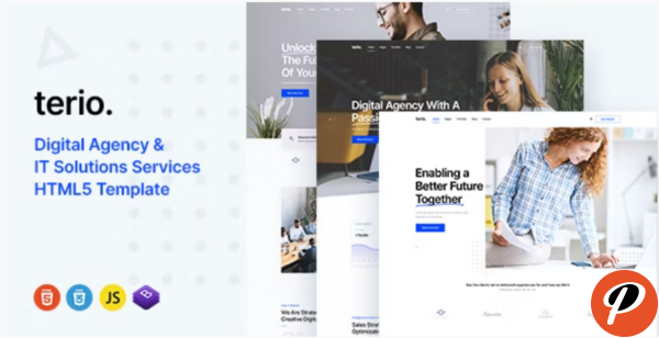 Terio Digital Agency IT Services Template