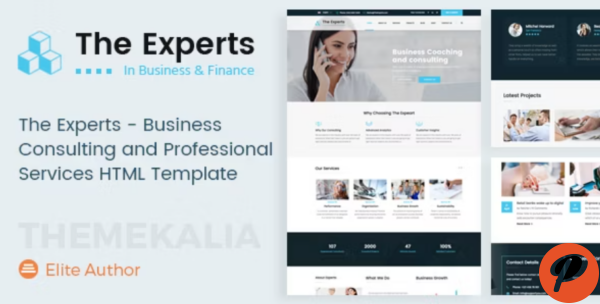 The Experts Business Consulting Template